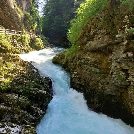 Apartma Marjetica * Blejska Dobrava