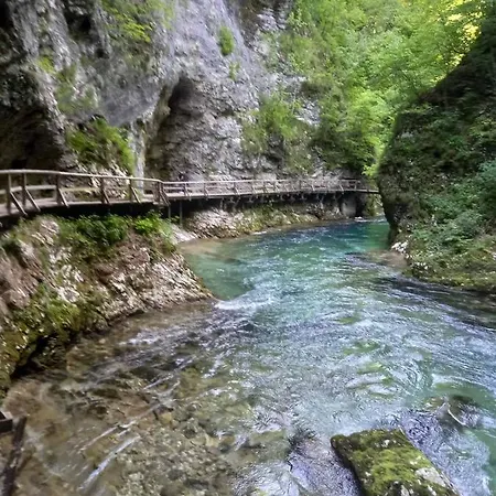 Lägenhet Apartma Marjetica