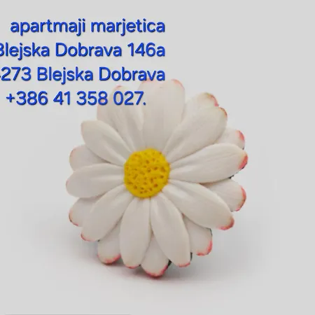 דירה Apartma Marjetica *