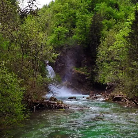 أبارتما مارجيتيكا Blejska Dobrava