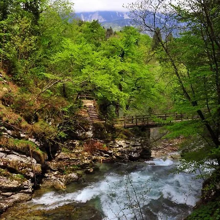 أبارتما مارجيتيكا Blejska Dobrava