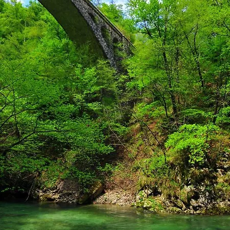 أبارتما مارجيتيكا * Blejska Dobrava