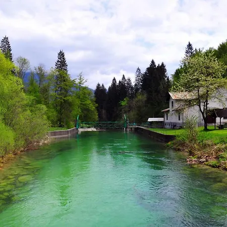 Apartma Marjetica Lägenhet Blejska Dobrava
