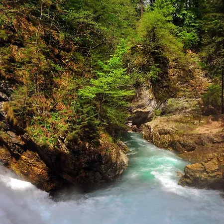 아파트 Apartma Marjetica *