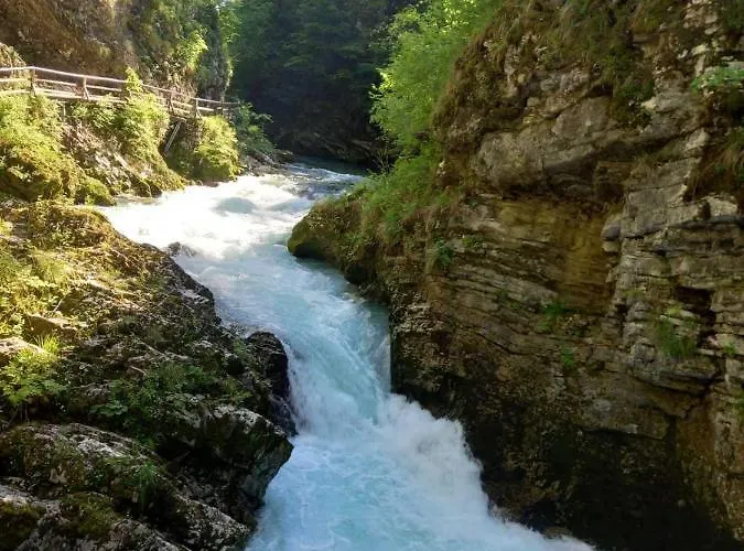 Apartma Marjetica * Blejska Dobrava