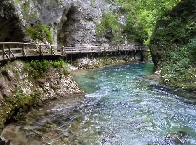 Lejlighed Apartma Marjetica