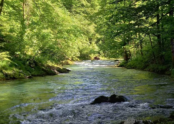 Lejlighed Apartma Marjetica *