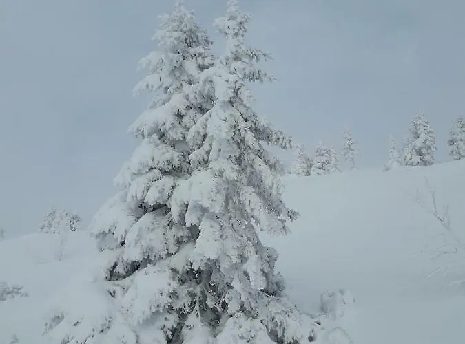 Apartma Marjetica Lejlighed