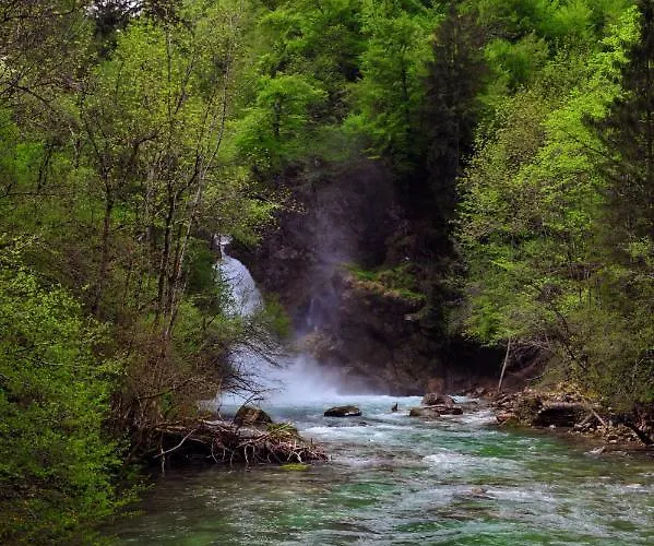 Apartma Marjetica Blejska Dobrava
