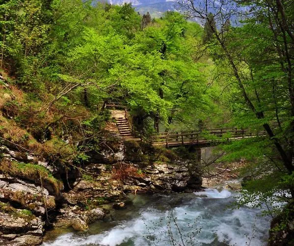 Apartma Marjetica Blejska Dobrava