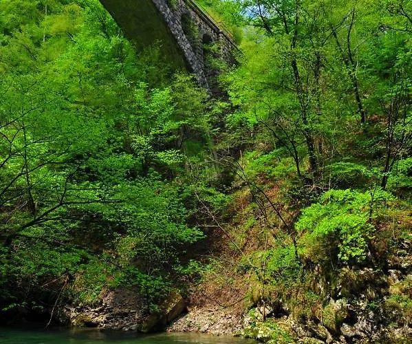 Apartma Marjetica * Blejska Dobrava