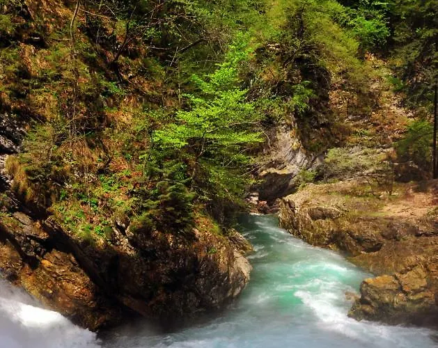 Lejlighed Apartma Marjetica *