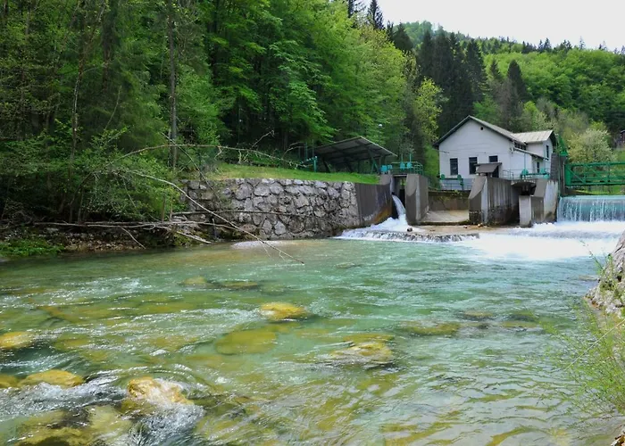 Apartma Marjetica Lejlighed *